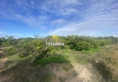 Non-developable land for sale in Sueca ref: TR284741 photo