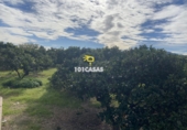 Non-developable land for sale in Sueca ref: TR284741 photo