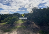 Non-developable land for sale in Sueca ref: TR284741 photo