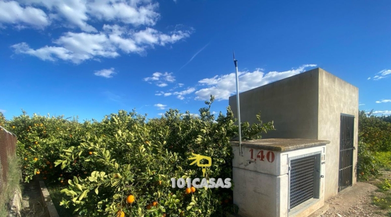Valencia - Albalat de la Ribera - 280000m2
