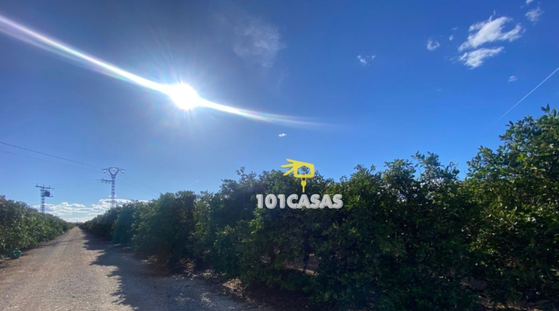 Valencia - Albalat de la Ribera - 1500000m2
