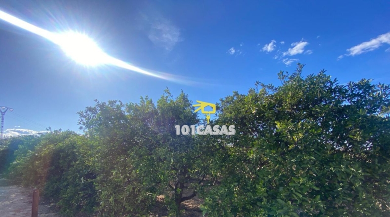 Valencia - Albalat de la Ribera - 1500000m2