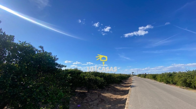 Valencia - Albalat de la Ribera - 1500000m2