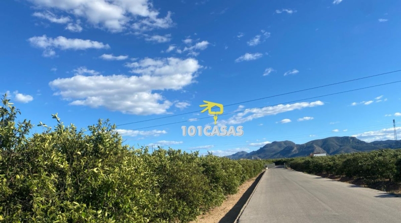 Valencia - Albalat de la Ribera - 1500000m2
