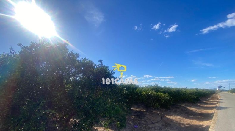 Valencia - Albalat de la Ribera - 1500000m2