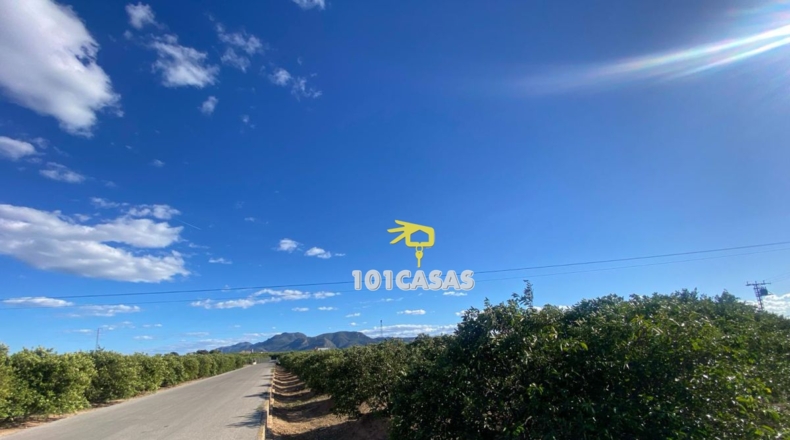 Valencia - Albalat de la Ribera - 1500000m2