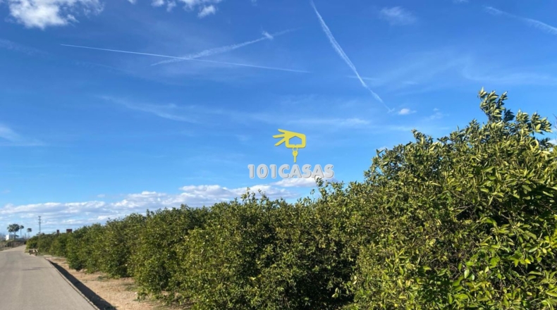 Valencia - Albalat de la Ribera - 1500000m2