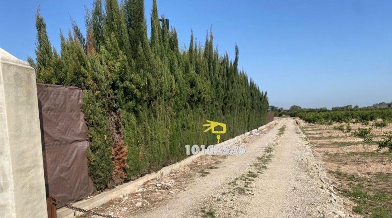 València - Albalat de la Ribera - 30000m2