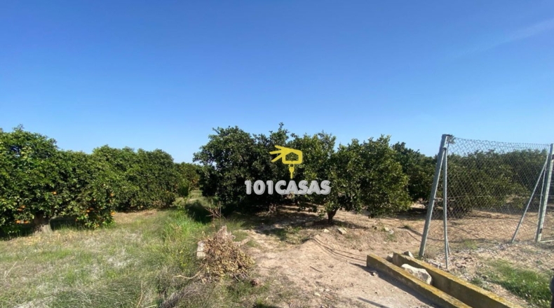 València - Albalat de la Ribera - 30000m2