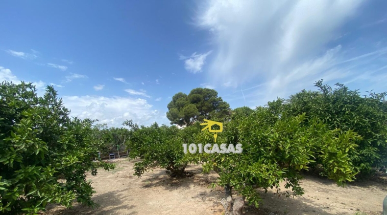 Valencia - Sueca - 2327m2