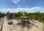 Terreno no urbanizable en venta en Guadassuar ref: TR109077 foto