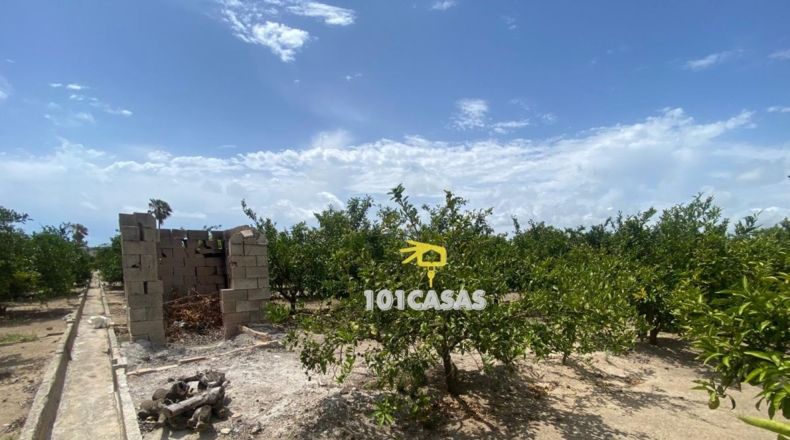 Valencia - Sueca - 2327m2