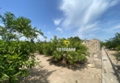 Terreno no urbanizable en venta en Guadassuar ref: TR109077 foto