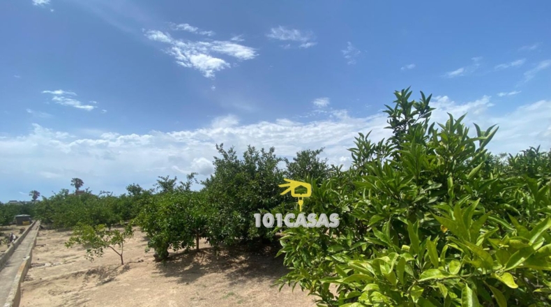 Valencia - Sueca - 2327m2