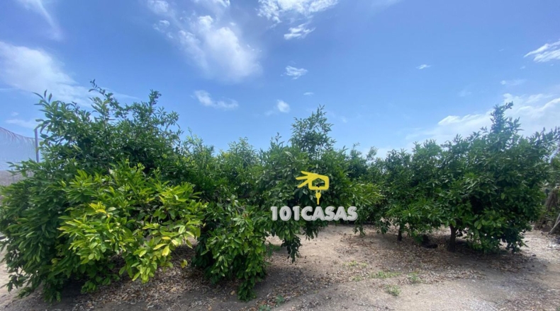 Valencia - Sueca - 2327m2