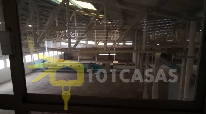 Valencia - Albalat de la Ribera - 3400m2