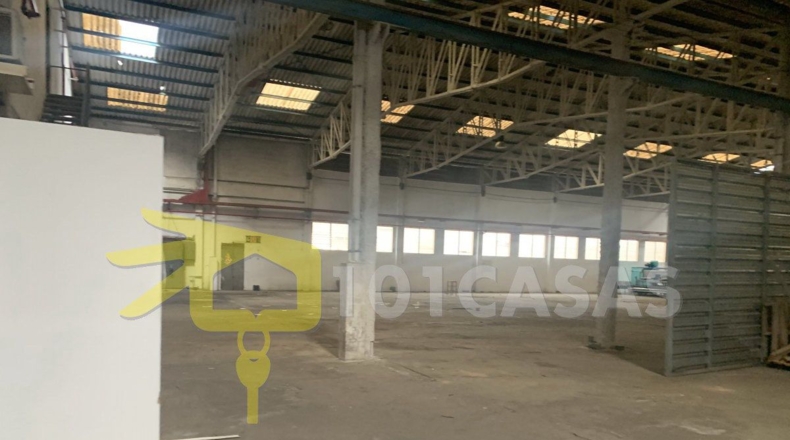 Valencia - Albalat de la Ribera - 3400m2