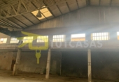 Industrial warehouse for rent in Albalat de la Ribera ref: TR284734 photo