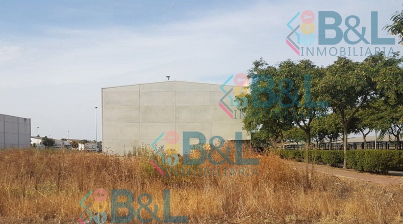 Huelva - Cartaya - 745m2