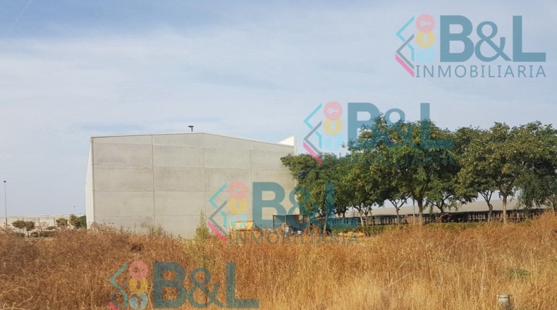 Huelva - Cartaya - 745m2