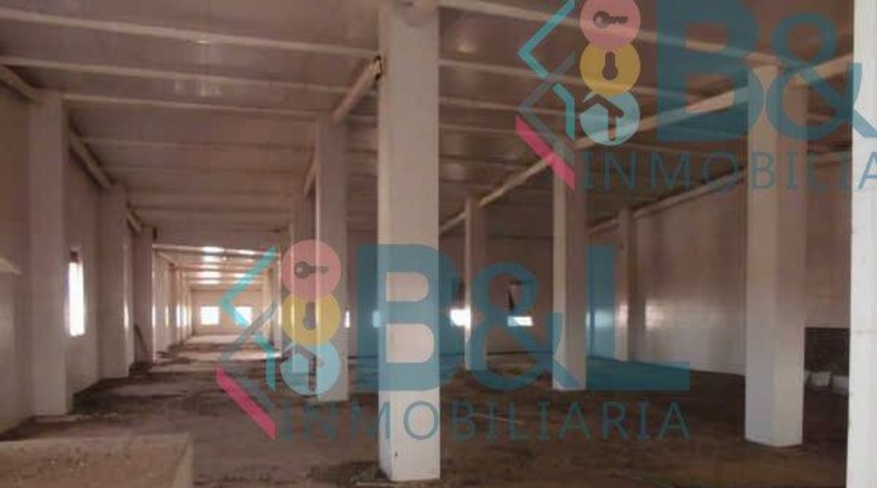 Huelva - Rosal de la Frontera - 3978m2