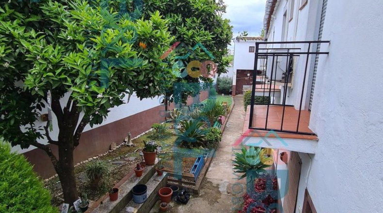 Huelva - Cortegana - 227m2