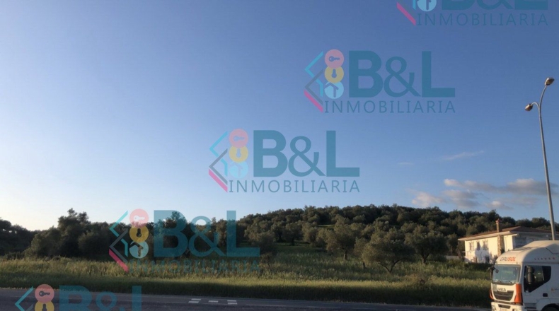Huelva - Rosal de la Frontera - 19000m2