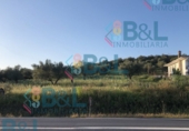 Land suitable for development for sale in Rosal de la Frontera ref: TR43625 photo