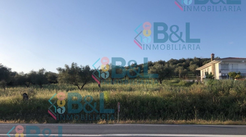 Huelva - Rosal de la Frontera - 19000m2