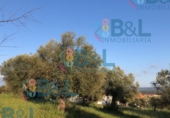 Land suitable for development for sale in Rosal de la Frontera ref: TR43625 photo