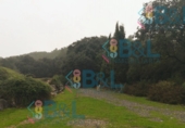 Finca rústica en venta en Jabugo ref: TR67851 foto