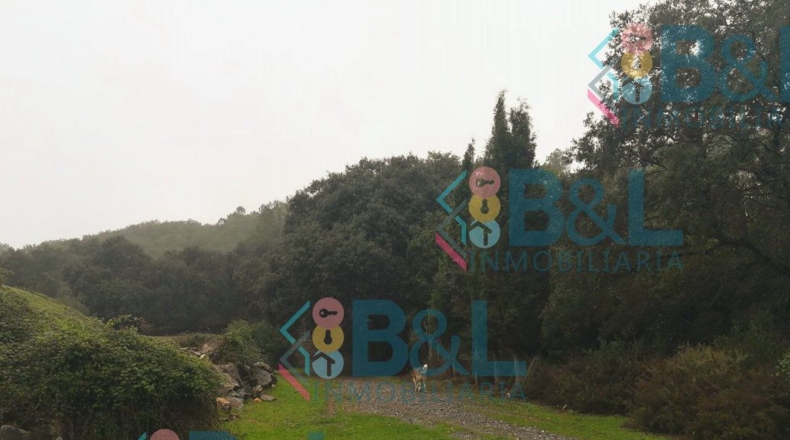 Huelva - Jabugo - 2m2