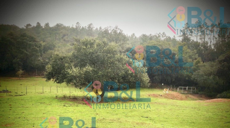 Huelva - Jabugo - 2m2