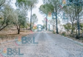 Rural estate for sale in Valverde del Camino ref: TR274497 photo