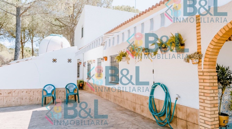Huelva - Valverde del Camino - 7120m2