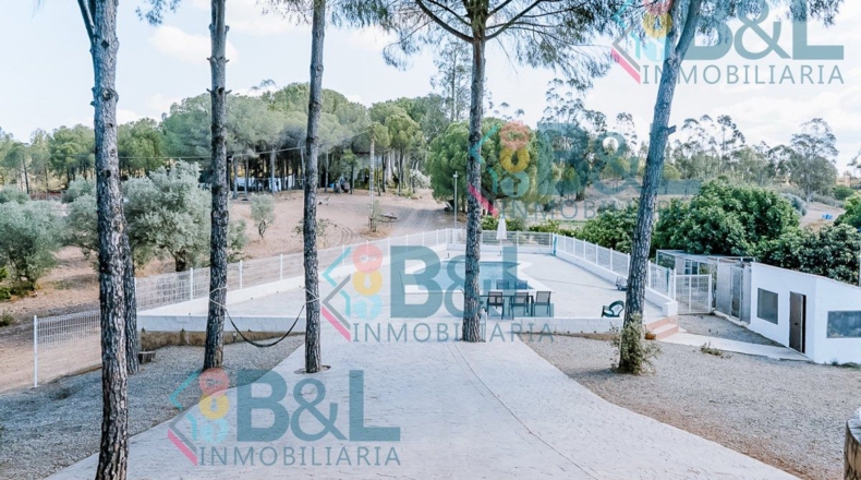 Huelva - Valverde del Camino - 7120m2