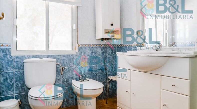 Huelva - Valverde del Camino - 7120m2