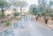 Rural estate for sale in Valverde del Camino ref: TR274497 photo