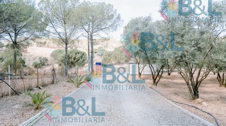 Huelva - Valverde del Camino - 7120m2