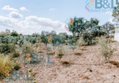 Rural estate for sale in Valverde del Camino ref: TR274497 photo