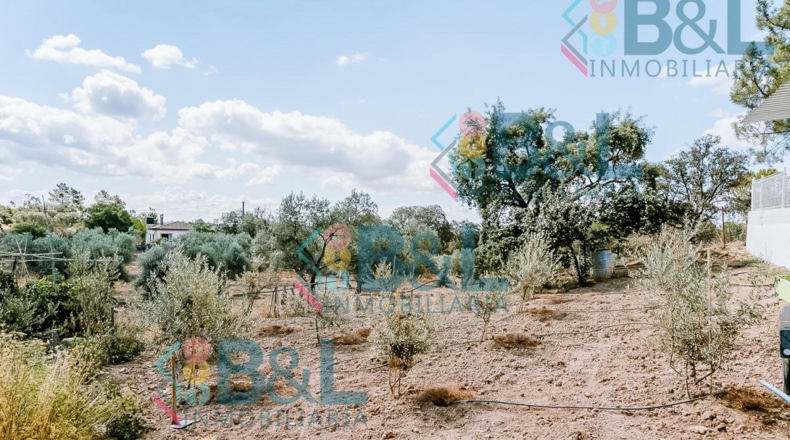 Huelva - Valverde del Camino - 7120m2