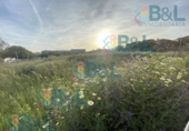 Land suitable for development for sale in Huelva ref: TR110125 photo