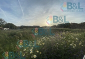 Land suitable for development for sale in Huelva ref: TR110125 photo