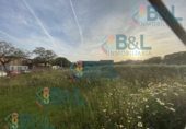 Land suitable for development for sale in Huelva ref: TR110125 photo