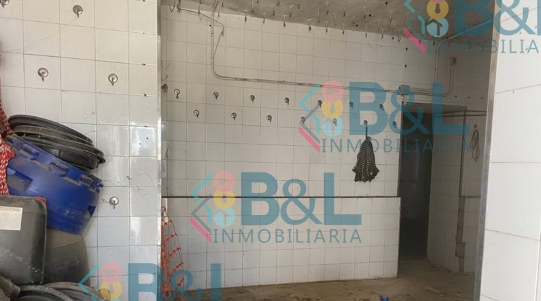 Huelva - Los Romeros - 1210m2