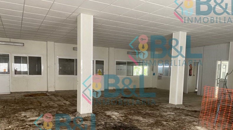Huelva - Los Romeros - 1210m2