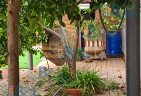 Foto 8