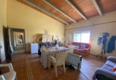 Rural estate for sale in Punta Umbría ref: TR284733 photo
