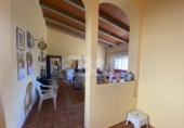 Rural estate for sale in Punta Umbría ref: TR284733 photo