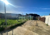 Rural estate for sale in Punta Umbría ref: TR284733 photo